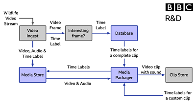  A simplified diagram of the system after the cloud-fit integration.