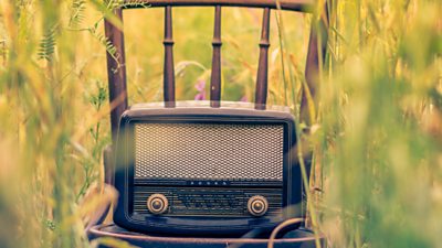 An old style radio set on a wooden chair in a field or garden of long grass.