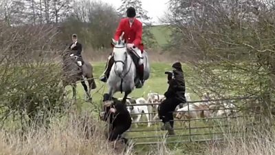 Hunt saboteurs filmed the moment a horse rider collided with a woman.