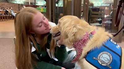 Comfort dogs visit Michigan State