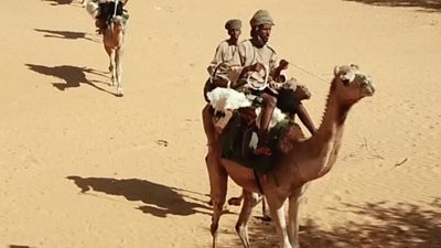 The Meharists: Mauritania's camel cavalry fighting jihadists in Sahel ...