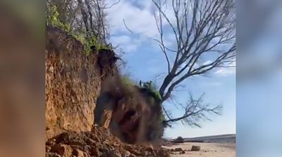 She films the moment a large section of cliff, including rocks and a tree, crashes to the ground.