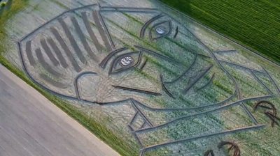 Picasso portrait in a field in Italy