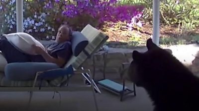 Moment black bear gets too close to man in his garden