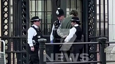 Arrest at Buckingham palace