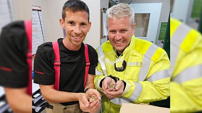Firefighters with pheasant chicks