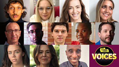 The 12 Voices in the 2023 Midlands and North of England hub