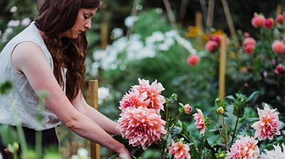 'I quit my job to grow flowers' - BBC News