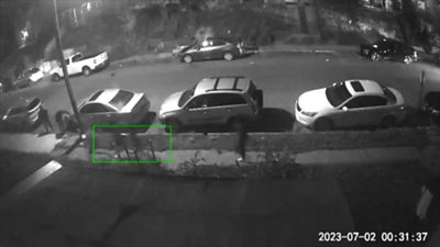 Surveillance footage captures chaos after shooting - BBC News