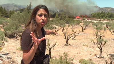 Azadeh Moshiri in front of a wildfire