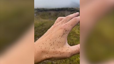 James Roddie was wild camping in the Highlands when a swarm of midges descended upon him.