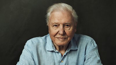 Sir David Attenborough to present Planet Earth III