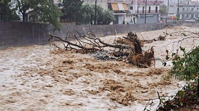 A fallen tree is seen in a flooded river in the city of Colos, Greece.