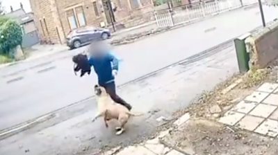 Sheffield dog attack footage shows moment of street assault - BBC News