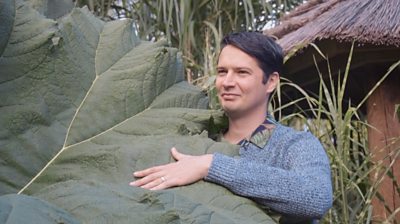 A man and a large leaf