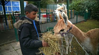 A head teacher at a school in Birmingham has created a farm to help his pupils learn.