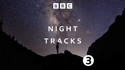 Artwork for Night Tracks. A silhouette stands in a valley and looks up at the night sky. Stars and constellations illuminate the sky. 