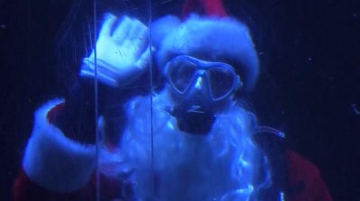 Scuba Santa at aquarium