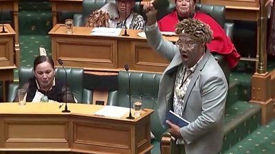 New Zealand MP Rawiri Waititi