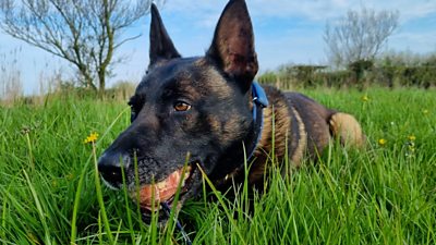 PD Ronnie lies in the grass with a ball