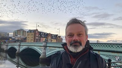 Starlings return for spectacular Belfast display