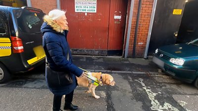 Video shows guide dog forced onto road by pavement parking