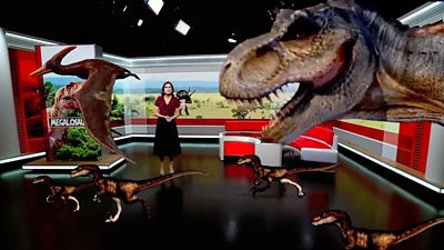 Anjana Gadgil in studio surrounded by dinosaurs