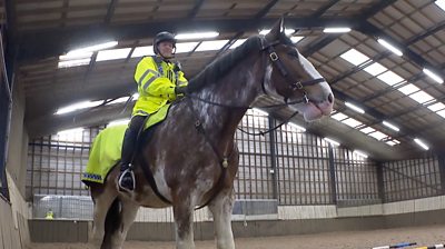 Policeman on horse