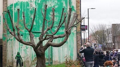 Picture of new Banksy tree artwork