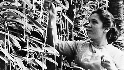 A woman pretending to grab some spaghetti from a tree