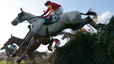 Horse jumps fence in Grand National