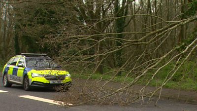 Storm Kathleen has brought strong winds to Northern Ireland, disrupting road, sea and air travel.