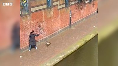 Woman chasing goose
