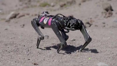 Meet the robot dog training to walk on the Moon