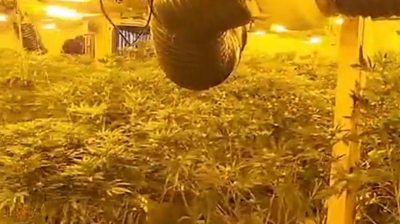 South Yorkshire Police uncover cannabis factory in Doncaster