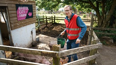 Greg (Stephen Merchant), stands in a pigsty holding a bucket and looks awkwardly to camera. A sign in the background reads: “Bristol City Farm” 