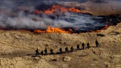 Firefighters in Los Angeles battle wildfire