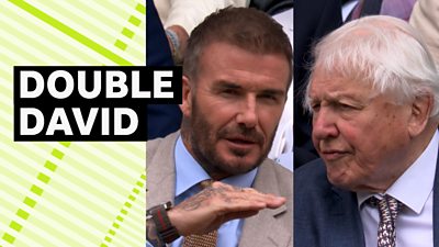 David Beckham and Sir David Attenborough