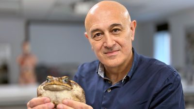 Professor Jim Al-Khalili holds a large toad up to the camera. 