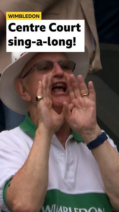 Wimbledon fan