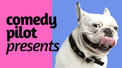 the text 'comedy pilot presents' next to a photo of a french bulldog smiling