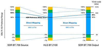 Diagram of outputs (direct-mapping and down-mapping) 