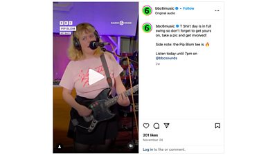 Screenshot of Instagram showing the Pip Blom video