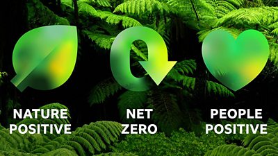 Graphic featuring three green symbols over a background photo of plants. The first symbol is a leaf with “Nature positive” written underneath; the second is an arrow rounded into the shape of a zero with “Net zero” written underneath; and the third is a heart with “People positive” written underneath. 