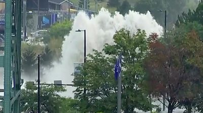 A giant plume of water fountains above tree level