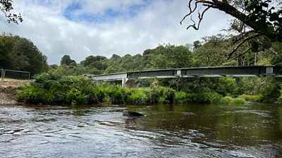 Landscape of a river and bridge crossing it