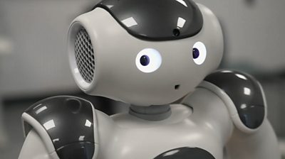 NAO Robot