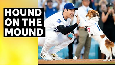 Shohei Ohtani and his dog Decoy