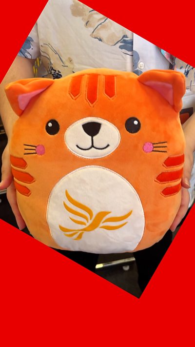 An orange cuddly toy cat with the Liberal Democrat logo