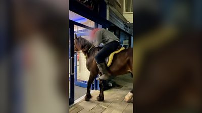 Horse walking into chippy